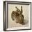 Hare, 1502-Albrecht Dürer-Framed Giclee Print