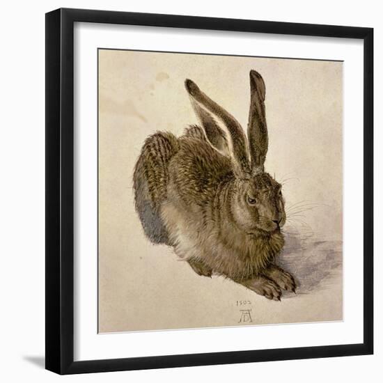 Hare, 1502-Albrecht Dürer-Framed Giclee Print