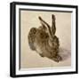 Hare, 1502-Albrecht Dürer-Framed Giclee Print