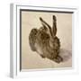 Hare, 1502-Albrecht Dürer-Framed Giclee Print