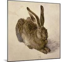 Hare, 1502-Albrecht Dürer-Mounted Giclee Print