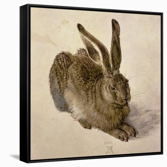 Hare, 1502-Albrecht Dürer-Framed Stretched Canvas