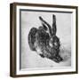 Hare, 1502-Albrecht Durer-Framed Giclee Print