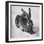 Hare, 1502-Albrecht Durer-Framed Giclee Print