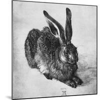 Hare, 1502-Albrecht Durer-Mounted Giclee Print