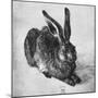 Hare, 1502-Albrecht Durer-Mounted Giclee Print