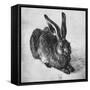 Hare, 1502-Albrecht Durer-Framed Stretched Canvas