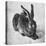Hare, 1502-Albrecht Durer-Stretched Canvas