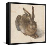 Hare, 1502-Albrecht Dürer-Framed Stretched Canvas