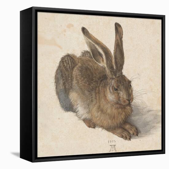 Hare, 1502-Albrecht Dürer-Framed Stretched Canvas