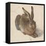 Hare, 1502-Albrecht Dürer-Framed Stretched Canvas