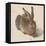 Hare, 1502-Albrecht Dürer-Framed Stretched Canvas