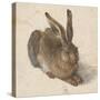Hare, 1502-Albrecht Dürer-Stretched Canvas