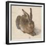 Hare, 1502-Albrecht Dürer-Framed Giclee Print