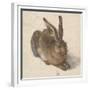 Hare, 1502-Albrecht Dürer-Framed Giclee Print