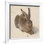 Hare, 1502-Albrecht Dürer-Framed Giclee Print