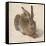 Hare, 1502-Albrecht Dürer-Framed Stretched Canvas