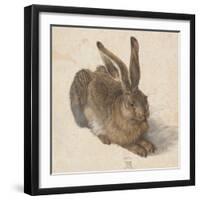 Hare, 1502-Albrecht Dürer-Framed Premium Giclee Print