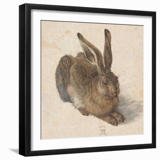 Hare, 1502-Albrecht Dürer-Framed Premium Giclee Print