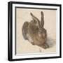 Hare, 1502-Albrecht Dürer-Framed Premium Giclee Print