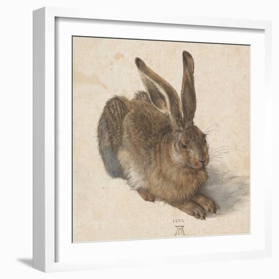 Hare, 1502-Albrecht Dürer-Framed Premium Giclee Print