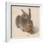 Hare, 1502-Albrecht Dürer-Framed Premium Giclee Print