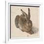 Hare, 1502-Albrecht Dürer-Framed Giclee Print