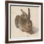 Hare, 1502-Albrecht Dürer-Framed Giclee Print