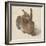 Hare, 1502-Albrecht Dürer-Framed Giclee Print