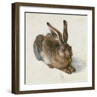 Hare, 1502-Albrecht Dürer-Framed Giclee Print