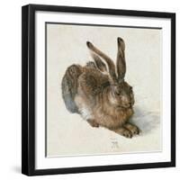 Hare, 1502-Albrecht Dürer-Framed Giclee Print