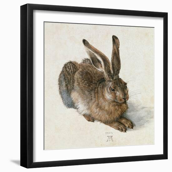 Hare, 1502-Albrecht Dürer-Framed Giclee Print