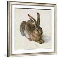 Hare, 1502-Albrecht Dürer-Framed Giclee Print