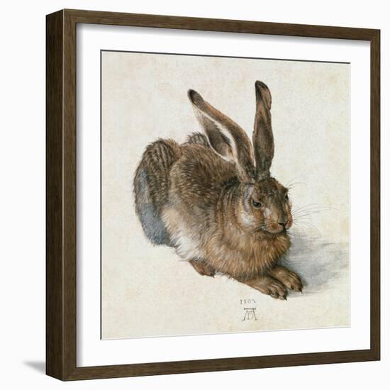 Hare, 1502-Albrecht Dürer-Framed Premium Giclee Print
