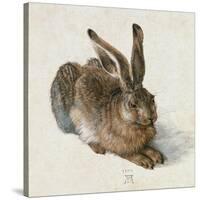 Hare, 1502-Albrecht Dürer-Stretched Canvas