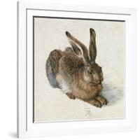 Hare, 1502-Albrecht Dürer-Framed Giclee Print