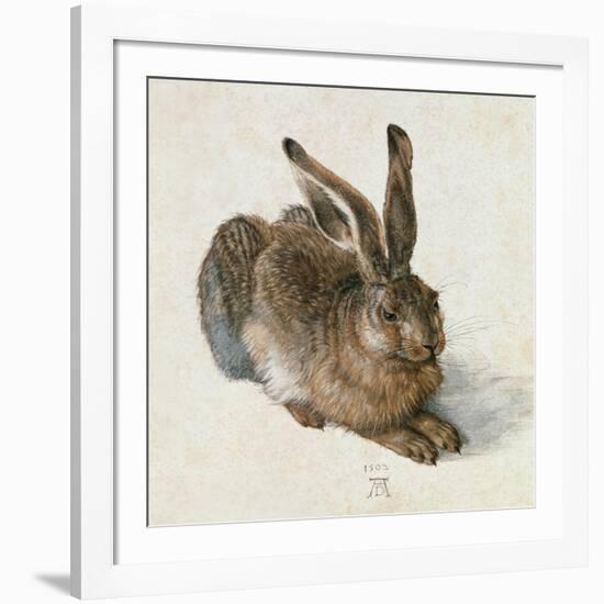 Hare, 1502-Albrecht Dürer-Framed Giclee Print