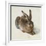 Hare, 1502-Albrecht Dürer-Framed Giclee Print