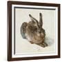 Hare, 1502-Albrecht Dürer-Framed Giclee Print