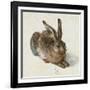 Hare, 1502-Albrecht Dürer-Framed Giclee Print