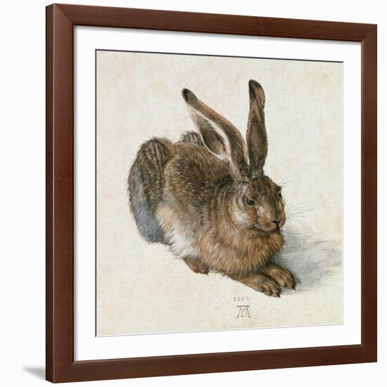 Hare, 1502-Albrecht Dürer-Framed Giclee Print