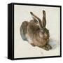 Hare, 1502-Albrecht Dürer-Framed Stretched Canvas