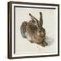 Hare, 1502-Albrecht Dürer-Framed Giclee Print