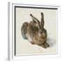 Hare, 1502-Albrecht Dürer-Framed Giclee Print