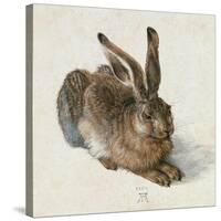 Hare, 1502-Albrecht Dürer-Stretched Canvas