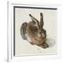 Hare, 1502-Albrecht Dürer-Framed Giclee Print