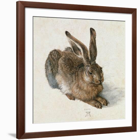 Hare, 1502-Albrecht Dürer-Framed Giclee Print