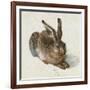 Hare, 1502-Albrecht Dürer-Framed Giclee Print