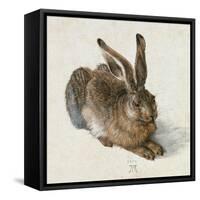 Hare, 1502-Albrecht Dürer-Framed Stretched Canvas