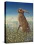 Hare, 1984-Frances Broomfield-Stretched Canvas